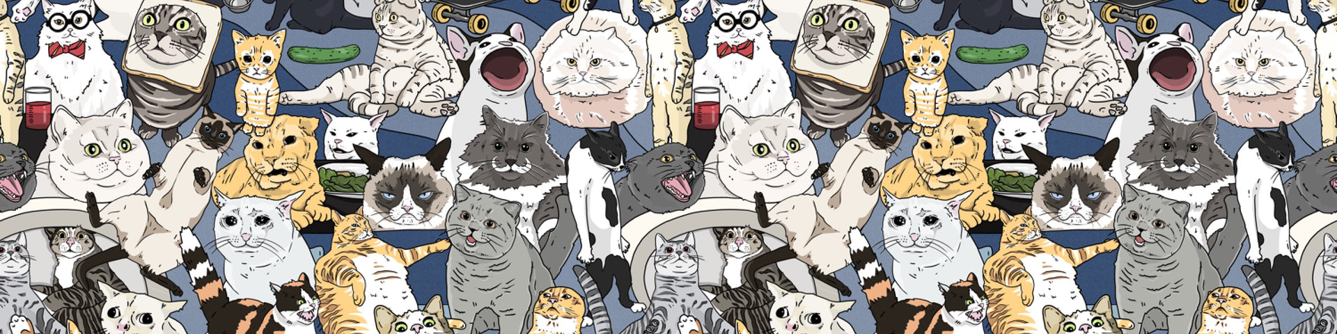 Cats of the Internet process